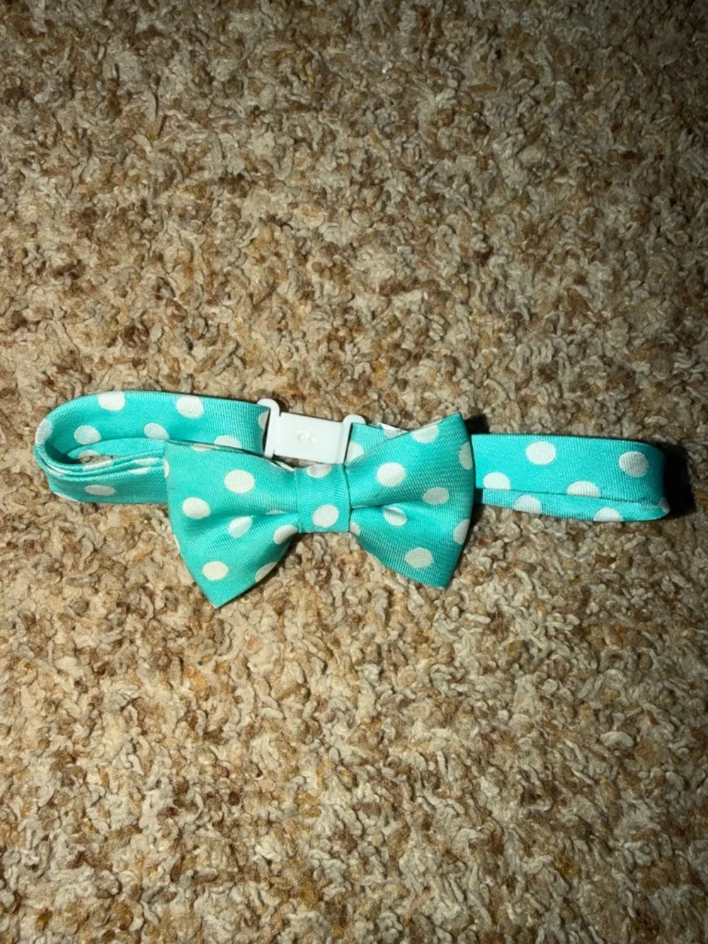 teal polka dot bow tie